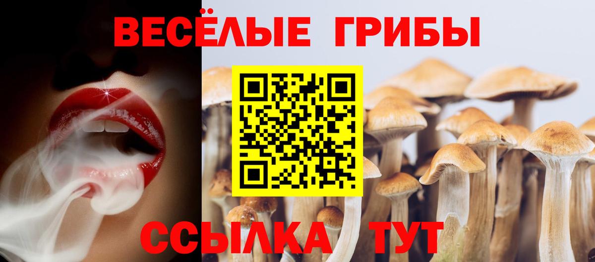Иваново  Псилоцибиновые грибы GOLDEN TEACHER  Вход с VPN 